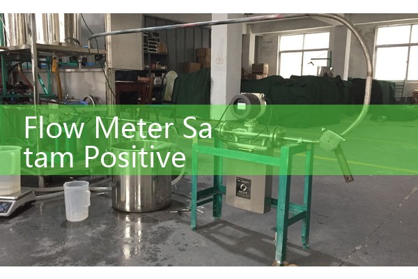 Flow Meter Satam Positive Displacement: Technical Overview of Hydrocarbon Metering Skids