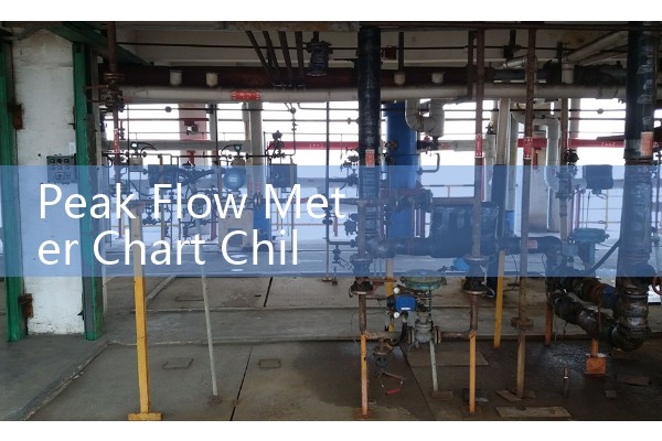 Peak Flow Meter Chart Child: Target Expiratory Action Zones for Pediatrics