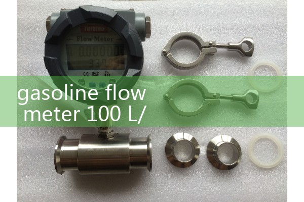 gasoline flow meter 100 L/h