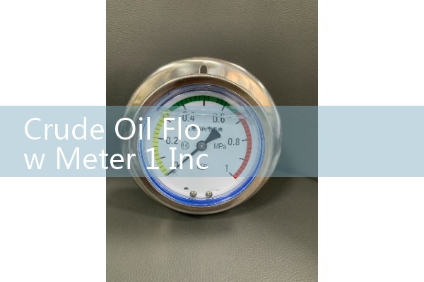 Crude Oil Flow Meter 1 Inch High-Pressure Rating Enclosures