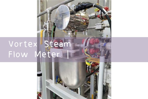 vortex steam flow meter|venturi meter