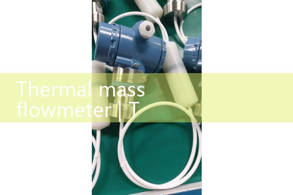 Thermal mass flowmeter