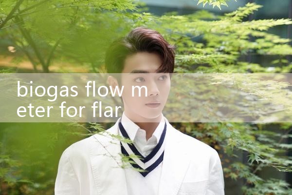 biogas flow meter for flare|arduino flow meter