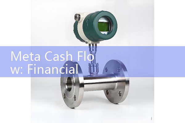 Meta Cash Flow: Financial Statement Performance Metrics and Modeling