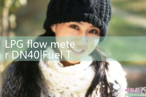 LPG flow meter DN40|arduino flow meter