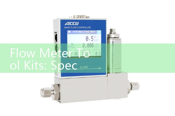 Fixed Installation Ultrasonic Flow Meter Design: Permanent Transit-Time Meters for Water Plants