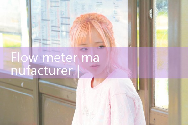 flow meter manufacturer|coriolis mass flow meter