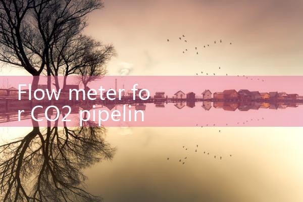 flow meter for CO2 pipeline|coriolis mass flow meter