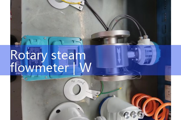 Rotary steam flowmeter