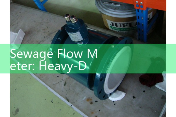 Sewage Flow Meter: Heavy-Duty Wastewater and Effluent Management Probes