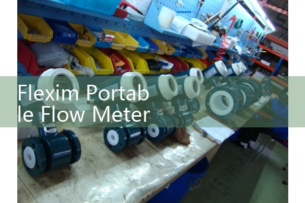 Flexim Portable Flow Meter Field Guide: Setting Up Transducers for On-Site Audits