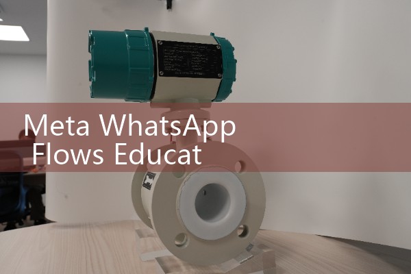 Meta WhatsApp Flows Education Enrollment 4x Leads: API Marketing Optimization