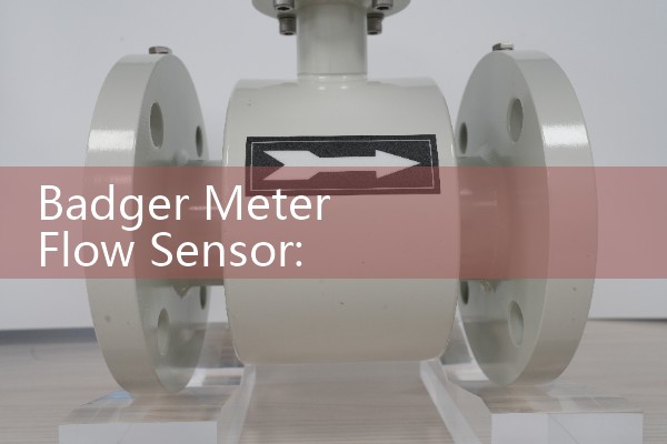 Badger Meter Flow Sensor: Sourcing Remote Telemetry Signal Transmitters