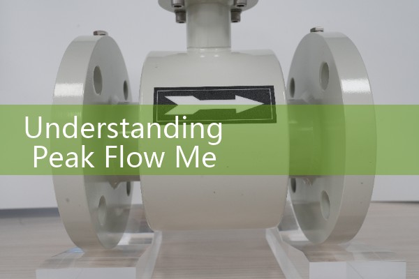 Understanding Peak Flow Meter Average Readings by Age and Height