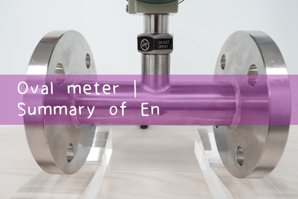 oval meter|mass flow meter