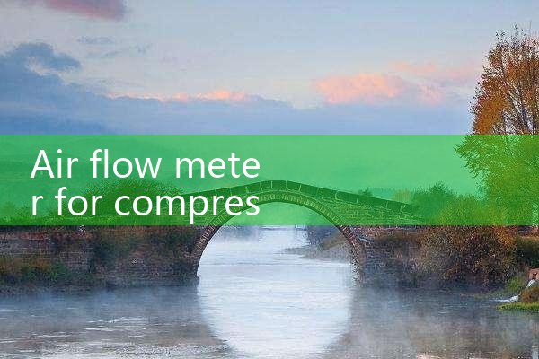 air flow meter for compressed air|coriolis mass flow meter