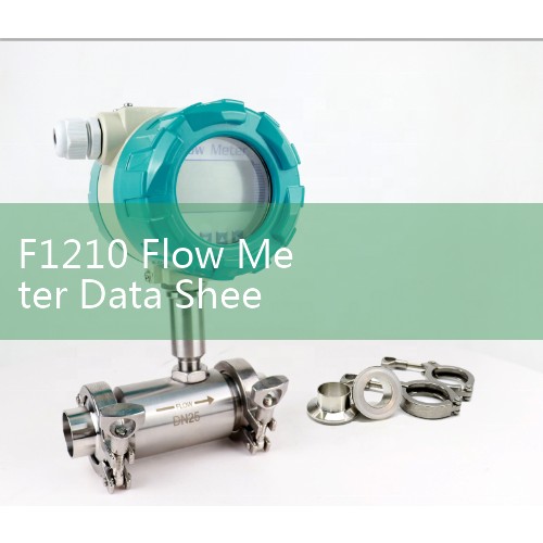 F1210 Flow Meter Data Sheet: Compact Flanged Volumetric Flow Transmitter Calibration