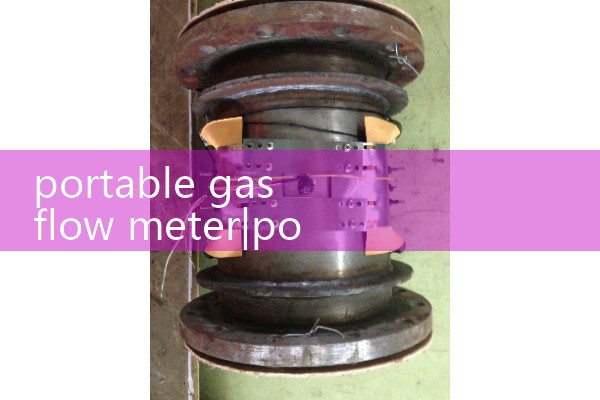 portable gas flow meter|mass flow meter
