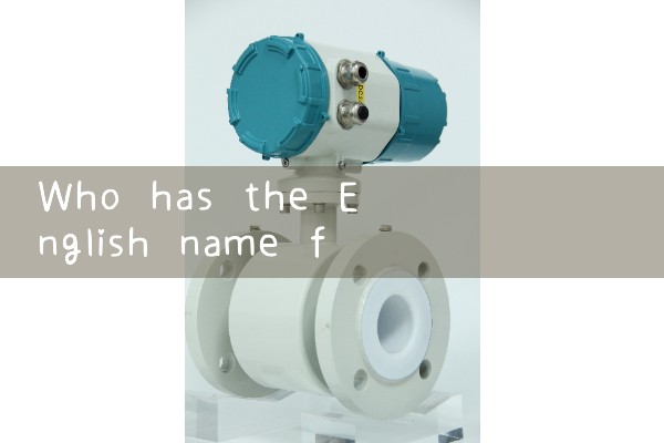 gas flow indicator|venturi meter