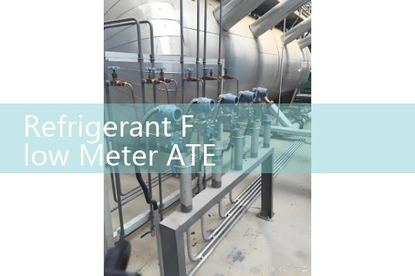 Refrigerant Flow Meter ATEX Certified: Meeting Strict European Directives for Combustibles