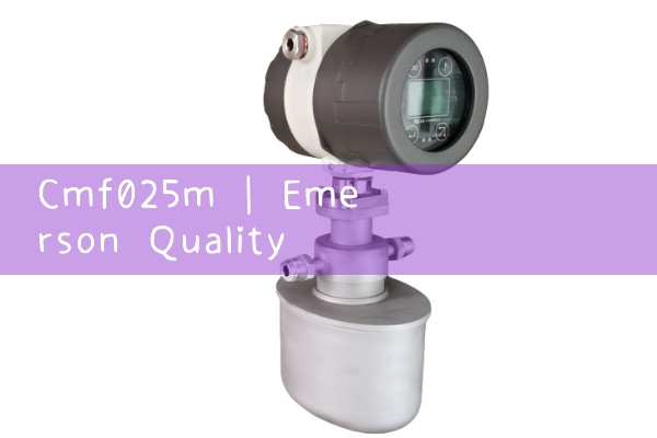 cmf025m|mass flow meter