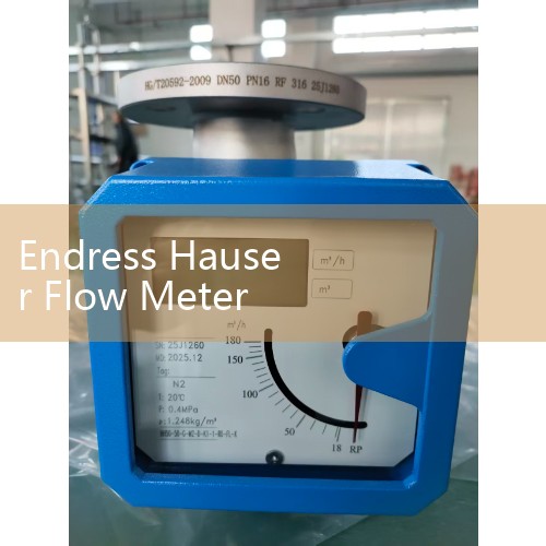 Endress Hauser Flow Meter Troubleshooting Guide: Quick Fixes for Common System Alarms