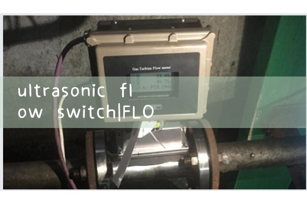 ultrasonic flow switch|venturi meter